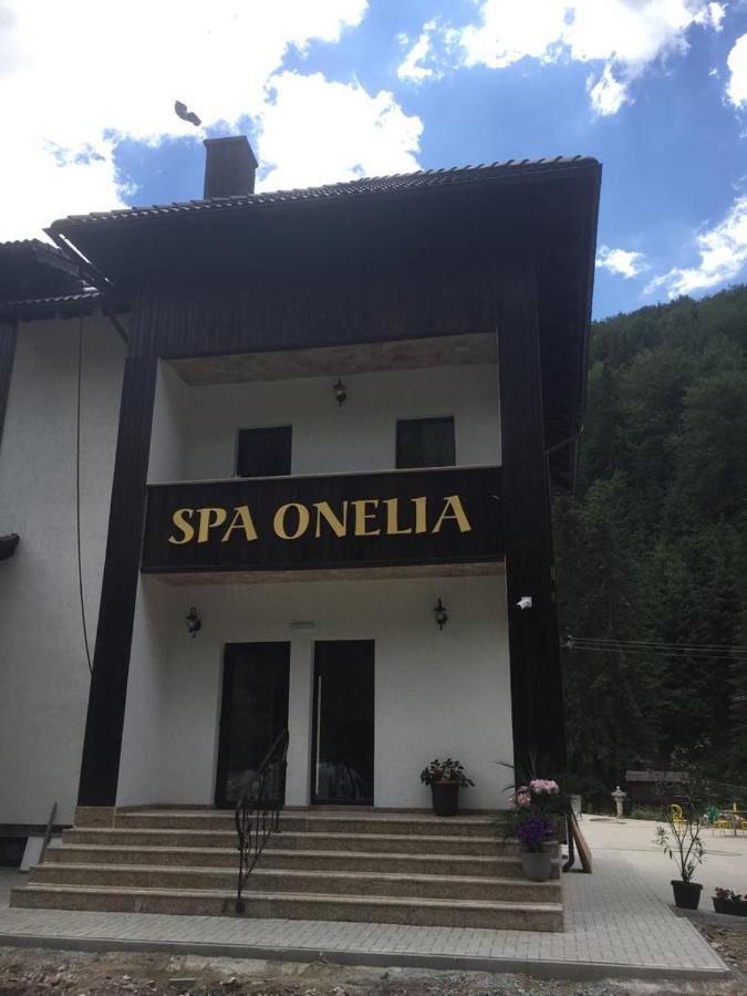 Pension Onelia Gîrda de Sus Екстериор снимка