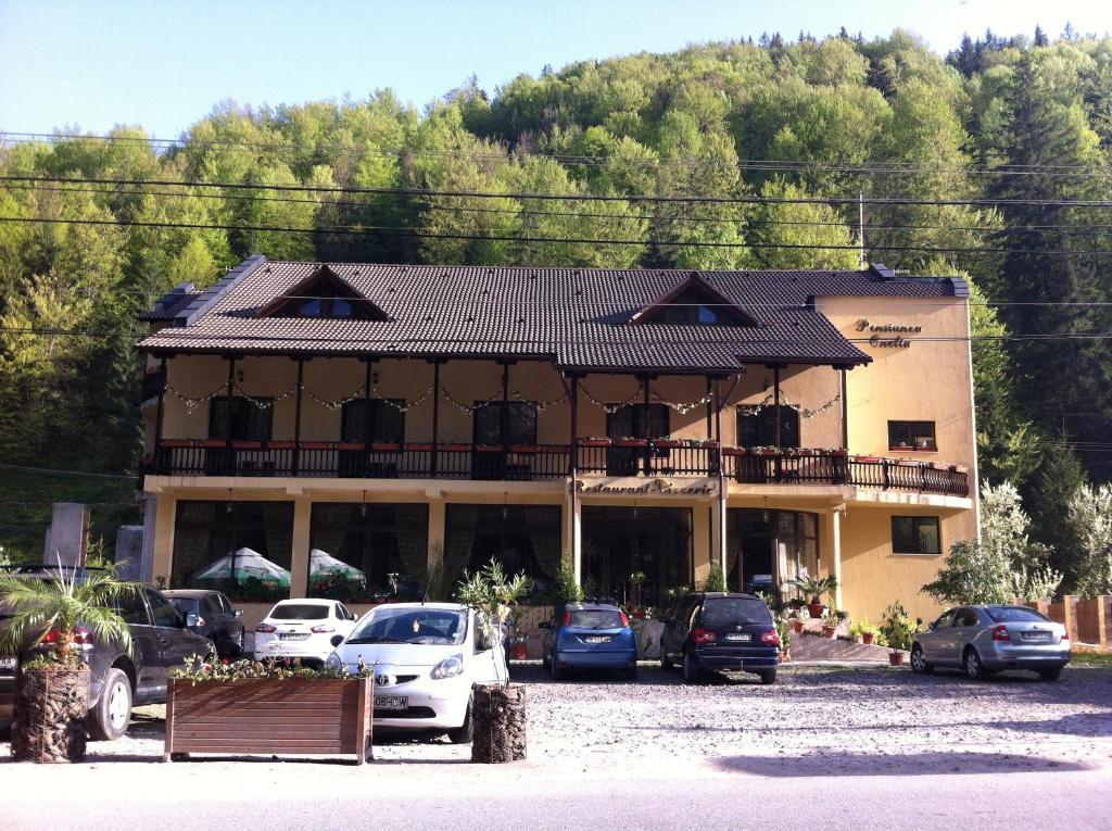 Pension Onelia Gîrda de Sus Екстериор снимка