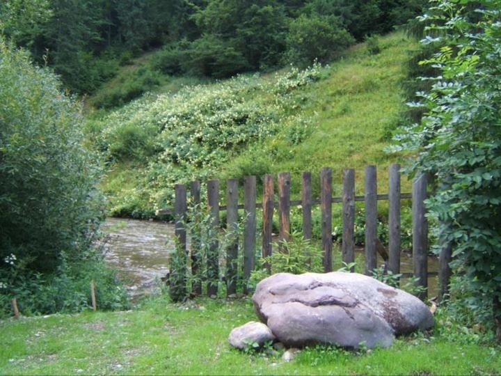 Pension Onelia Gîrda de Sus Екстериор снимка